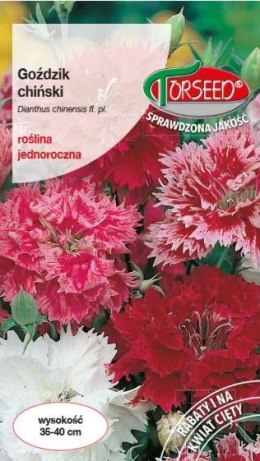 Nasiona Goździk Chiński 2g Dianthus chinensis