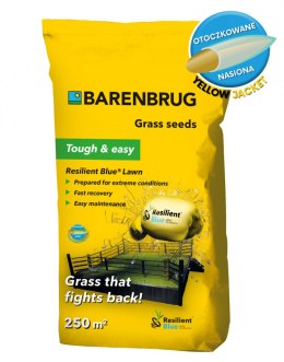 Trawa Barenbrug Na Suszę Resilient Blue Tough & easy - Ekstremalne Warunki 5kg