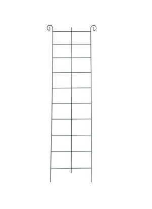 Podpora do Roślin Krata 50 cm x 200 cm