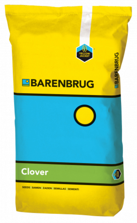 Koniczyna Barenbrug Lawn Clover 10kg Drobnolistna