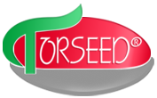 Torseed